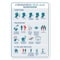Signmission Flu Notice Sign, Safety Advice And Tips, 24in X 18in Decal, 18" W, 24" L, Safety Advice And Tips OS-NS-D-1824-25589 - alternate 1